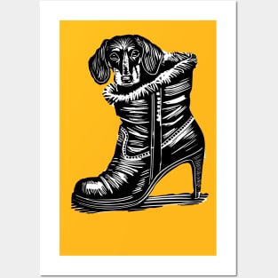 Dachshund Dog on a boot Posters and Art